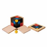 Nienhuis - Trinomial Cube*