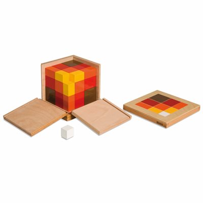 Nienhuis - Cube trinôme arithmétique