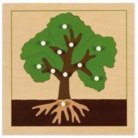 Nienhuis - Botany Puzzle: Tree