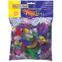 Guinea Feathers - Classroom Pack