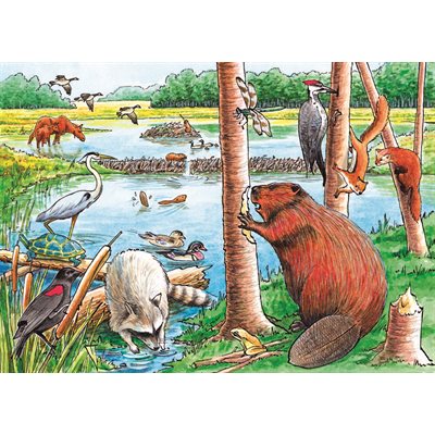 Casse-tête du plateau de l'étang aux castors