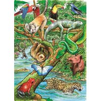   Life in a Tropical Rainforest Tray Puzzle