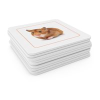 Pets Matching Cards (Plastic & Cut)