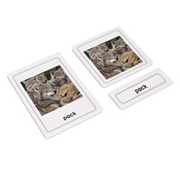 Animal Groups 3 Part Cards (Plastic & Cut)