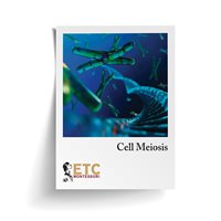 Cell Meiosis Card Stock