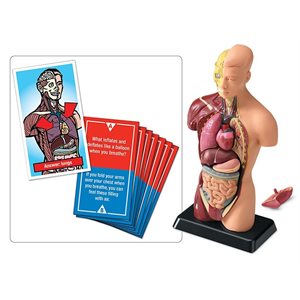 Fascinating Facts Human Body Game