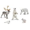 Collection d'animaux 5 pièces - Arctique*