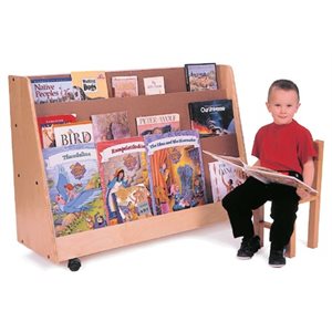 Book Display with 2 Shelves