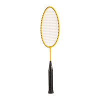 Mini Badminton Racquet