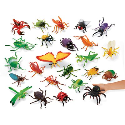 Collection d'insectes géants