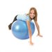 Exercise Ball - 24"