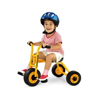 Easy-Ride First Trike (1-3 Years)