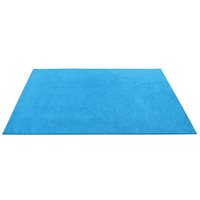 Flex-Space Rectangular Carpet- 4'x6', Blue