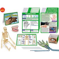 Human Body - Life Science Kit-Gr.4