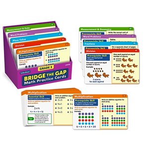 Bridge the Gap! Math Practice Cards - Gr. 3NEW