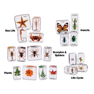 Easy-View Science Specimens - Complete Set