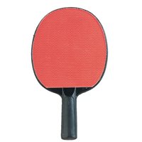 Table Tennis Paddle - Rubber / Plastic